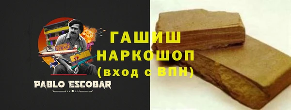 индика Елизово